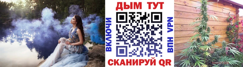 Каннабис White Widow Ивангород